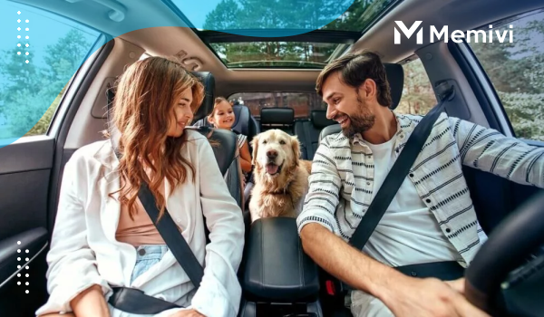 Santander Auto Loan